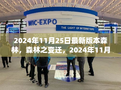 探索森林變遷，最新版本的森林探索之旅（2024年11月25日版）