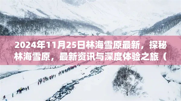 探秘林海雪原，最新深度體驗之旅（2024年11月25日最新資訊）