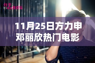11月25日方力申鄧麗欣電影之夜，深度解析影片魅力與演員風(fēng)采