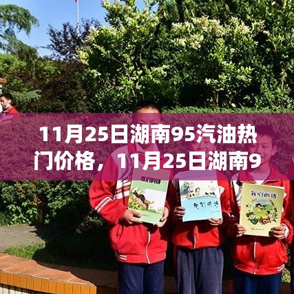 湖南95汽油最新價格動態(tài)，燃燒學(xué)習(xí)熱情，成就自我成長