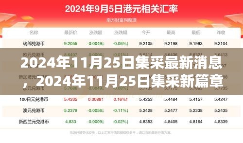 2024年11月25日集采最新動態(tài)揭秘，行業(yè)影響與時代地位探尋