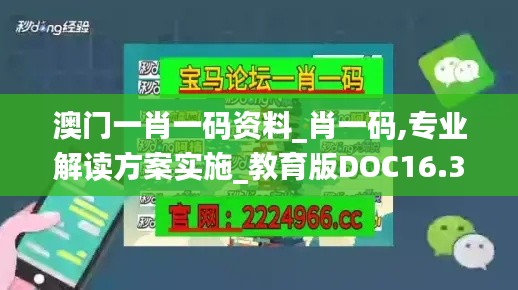 澳門一肖一碼資料_肖一碼,專業(yè)解讀方案實(shí)施_教育版DOC16.31