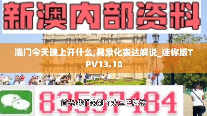 澳門今天晚上開什么,具象化表達解說_迷你版TPV13.10