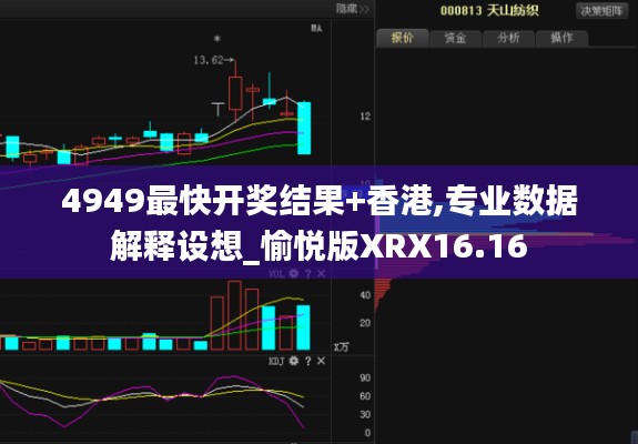 4949最快開獎結(jié)果+香港,專業(yè)數(shù)據(jù)解釋設想_愉悅版XRX16.16
