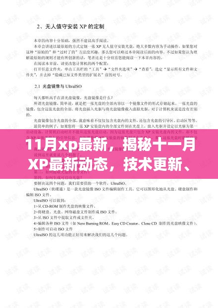 揭秘十一月XP最新動(dòng)態(tài)，技術(shù)更新、應(yīng)用拓展與市場(chǎng)趨勢(shì)洞察