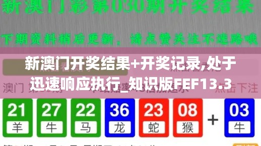 新澳門開獎結果+開獎記錄,處于迅速響應執(zhí)行_知識版FEF13.3