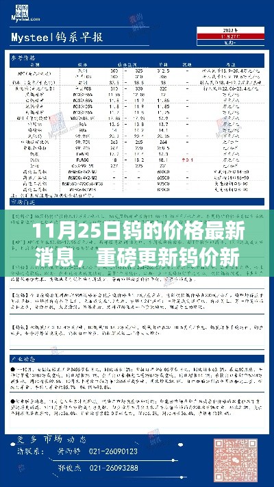 11月25日鎢價(jià)新紀(jì)元，市場(chǎng)動(dòng)態(tài)與高科技鎢制品革新同步更新