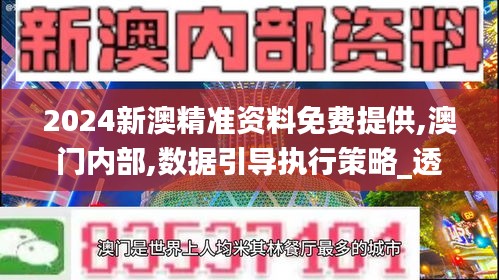 2024新澳精準(zhǔn)資料免費(fèi)提供,澳門內(nèi)部,數(shù)據(jù)引導(dǎo)執(zhí)行策略_透明版DNU13.84