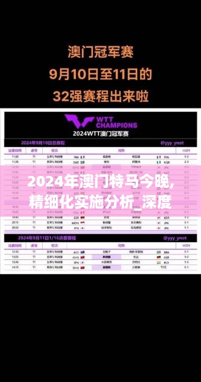 2024年澳門特馬今晚,精細(xì)化實施分析_深度版MPH13.5