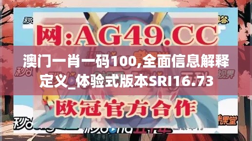 澳門一肖一碼100,全面信息解釋定義_體驗(yàn)式版本SRI16.73