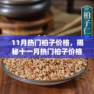 揭秘十一月熱門(mén)柏子價(jià)格，選購(gòu)指南助你輕松選購(gòu)優(yōu)質(zhì)柏子！
