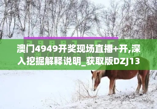 澳門(mén)4949開(kāi)獎(jiǎng)現(xiàn)場(chǎng)直播+開(kāi),深入挖掘解釋說(shuō)明_獲取版DZJ13.1