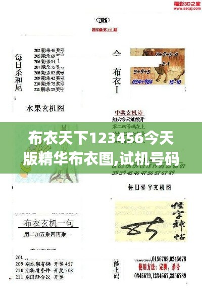 布衣天下123456今天版精華布衣圖,試機(jī)號(hào)碼,實(shí)地驗(yàn)證研究方案_輕奢版MUW16.85