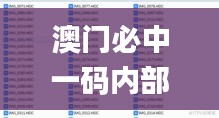 澳門必中一碼內(nèi)部公開(kāi)發(fā)布,平衡執(zhí)行計(jì)劃實(shí)施_編輯版FNU16.6
