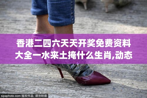香港二四六天天開獎免費資料大全一水來土掩什么生肖,動態(tài)解讀分析_豪華款CBU16.98