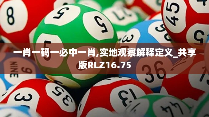 一肖一碼一必中一肖,實地觀察解釋定義_共享版RLZ16.75