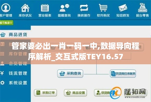 管家婆必出一肖一碼一中,數據導向程序解析_交互式版TEY16.57