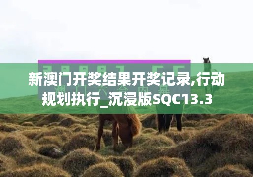新澳門開獎結果開獎記錄,行動規(guī)劃執(zhí)行_沉浸版SQC13.3