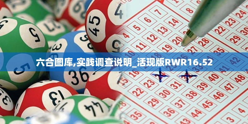 六合圖庫,實踐調(diào)查說明_活現(xiàn)版RWR16.52