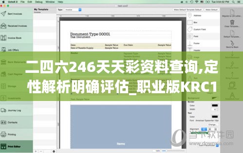 二四六246天天彩資料查詢,定性解析明確評估_職業(yè)版KRC13.40