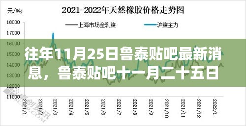 歲月見證下的魯泰貼吧最新消息回顧，十一月二十五日動(dòng)態(tài)速遞