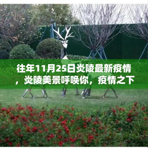 炎陵美景呼喚你，疫情之下與自然共舞的日子之最新疫情更新