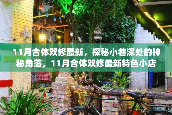 探秘神秘角落，揭秘11月合體雙修最新特色小店之旅