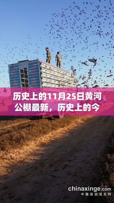 歷史上的黃河公棚變遷見證，學(xué)習(xí)鑄就自信與成就之路