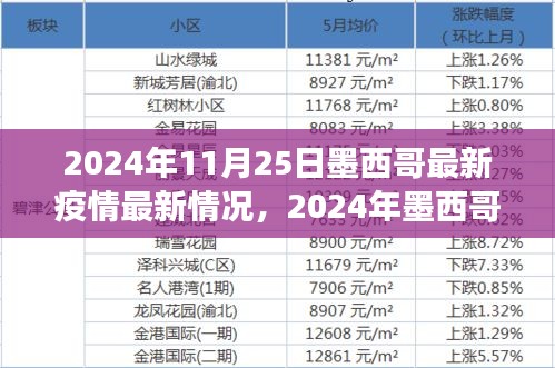 深度剖析，墨西哥疫情現(xiàn)狀，多方觀點交織下的最新疫情進展（2024年墨西哥疫情報告）