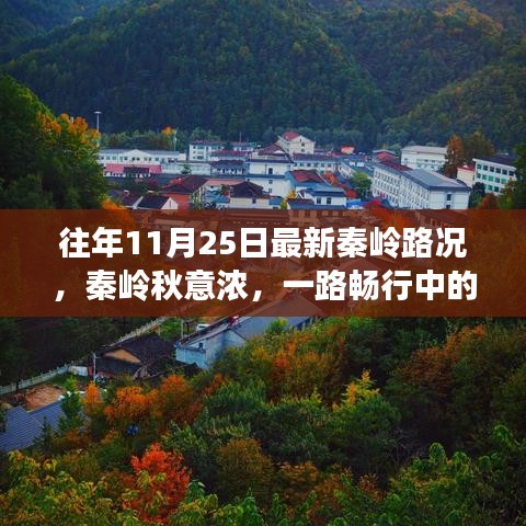 秦嶺秋日路況更新，一路暢行中的溫情故事與秋意濃情