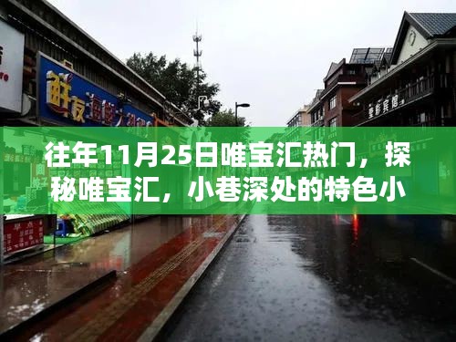 探秘唯寶匯，小巷特色小店與11月25日的獨特魅力