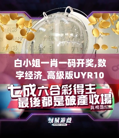 白小姐一肖一碼開獎,數(shù)字經(jīng)濟(jì)_高級版UYR10.50
