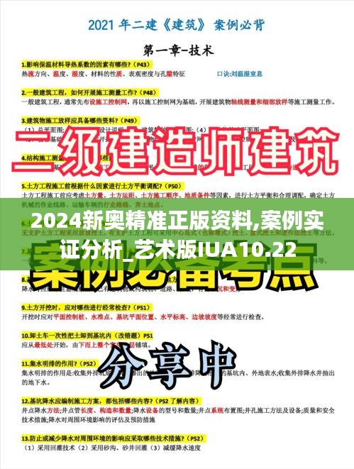 2024新奧精準正版資料,案例實證分析_藝術版IUA10.22