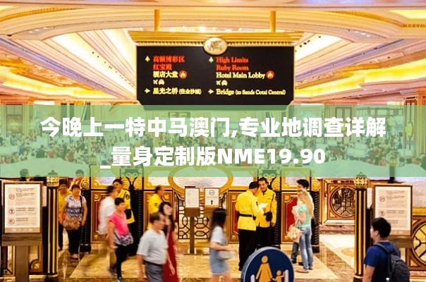 今晚上一特中馬澳門,專業(yè)地調查詳解_量身定制版NME19.90