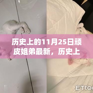 歷史上的11月25日，頑皮姐弟的自然探索之旅，尋找內(nèi)心的寧靜與平和之旅最新報道