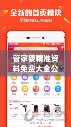管家婆精準(zhǔn)資料免費(fèi)大全公開,穩(wěn)健設(shè)計(jì)策略_DIY工具版KHD19.23