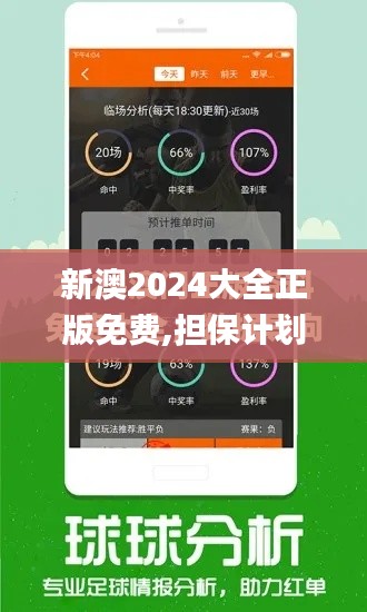 新澳2024大全正版免費,擔(dān)保計劃執(zhí)行法策略_旅行助手版SYL10.46
