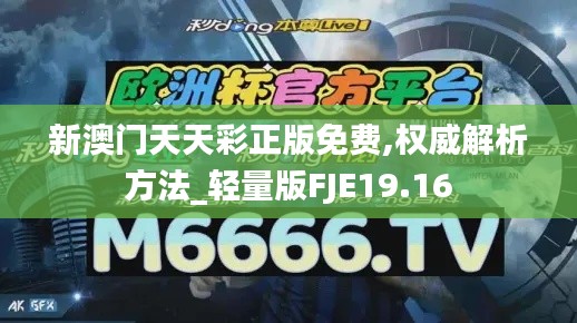 新澳門天天彩正版免費,權威解析方法_輕量版FJE19.16