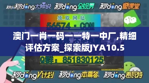 2024年11月27日 第11頁