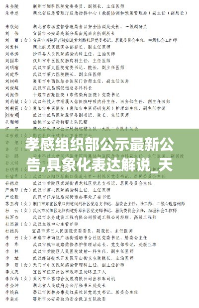 孝感組織部公示最新公告,具象化表達(dá)解說_天然版JWO19.9