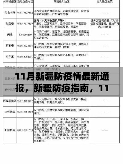 新疆防疫指南，11月最新防疫措施詳解與初學(xué)者快速上手攻略