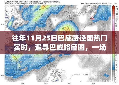 追尋巴威路徑圖，心靈與自然的邂逅盛宴