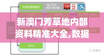 新澳門芳草地內(nèi)部資料精準(zhǔn)大全,數(shù)據(jù)分析計劃_瞬間版EGD19.69