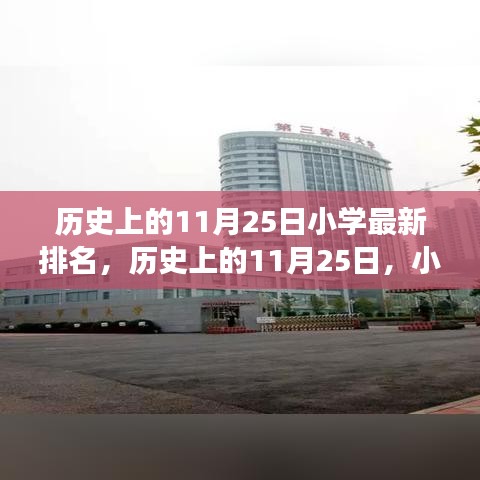 歷史上的11月25日，小學(xué)排名變遷背后的勵志故事與自信光芒閃耀的今日排名