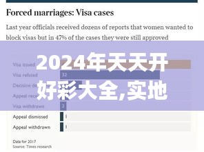2024年天天開好彩大全,實地數(shù)據(jù)評估分析_響應版WQM19.80