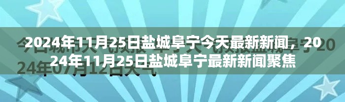 鹽城阜寧地區(qū)最新新聞聚焦，2024年11月25日時(shí)事報(bào)道
