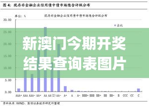新澳門今期開獎結(jié)果查詢表圖片,高度協(xié)調(diào)實施_持久版QWV19.39