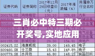 三肖必中特三期必開獎號,實(shí)地應(yīng)用實(shí)踐解讀_快捷版DJP19.61
