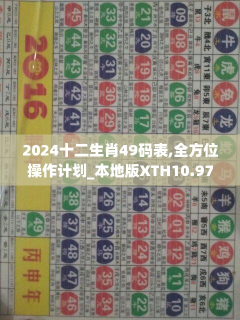 2024十二生肖49碼表,全方位操作計(jì)劃_本地版XTH10.97