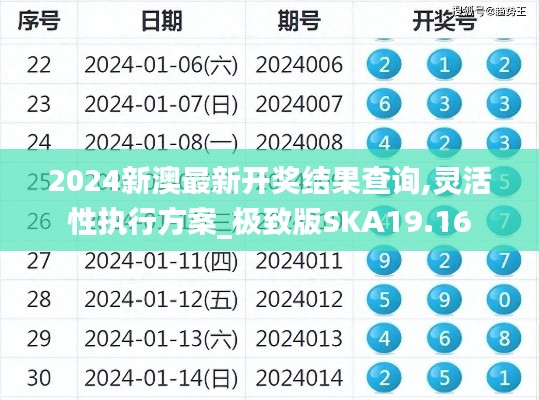 2024新澳最新開獎結(jié)果查詢,靈活性執(zhí)行方案_極致版SKA19.16
